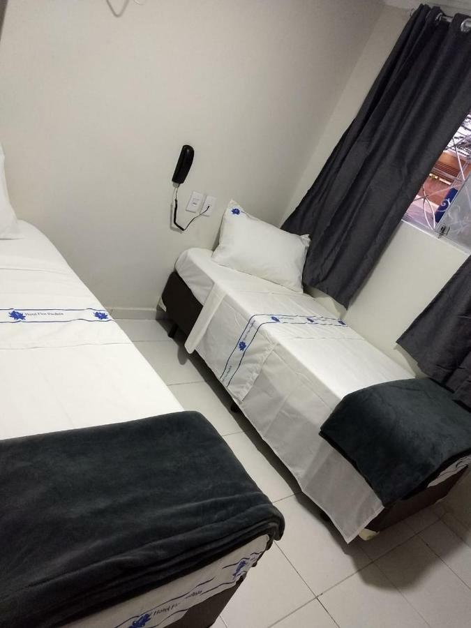 Hotel Flor Paulista São Paulo Ngoại thất bức ảnh