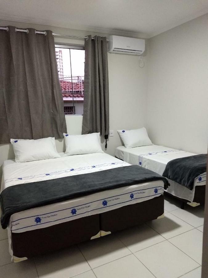 Hotel Flor Paulista São Paulo Ngoại thất bức ảnh